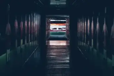 Túnel de acesso ao relvado do estádio
