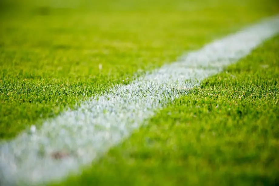 Relvado de futebol com a linha branca em destaque